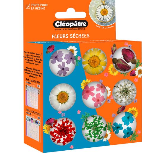 Trockenblumen Sortiment, 9 Tiegel