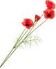 Mohn-Pick mit 4 Blüten