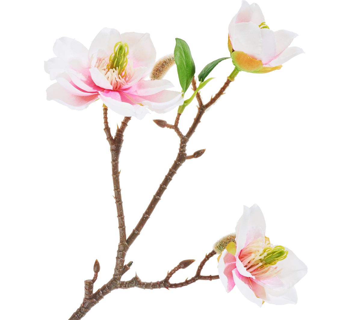 Magnolien-Pick mit 3 Blüten