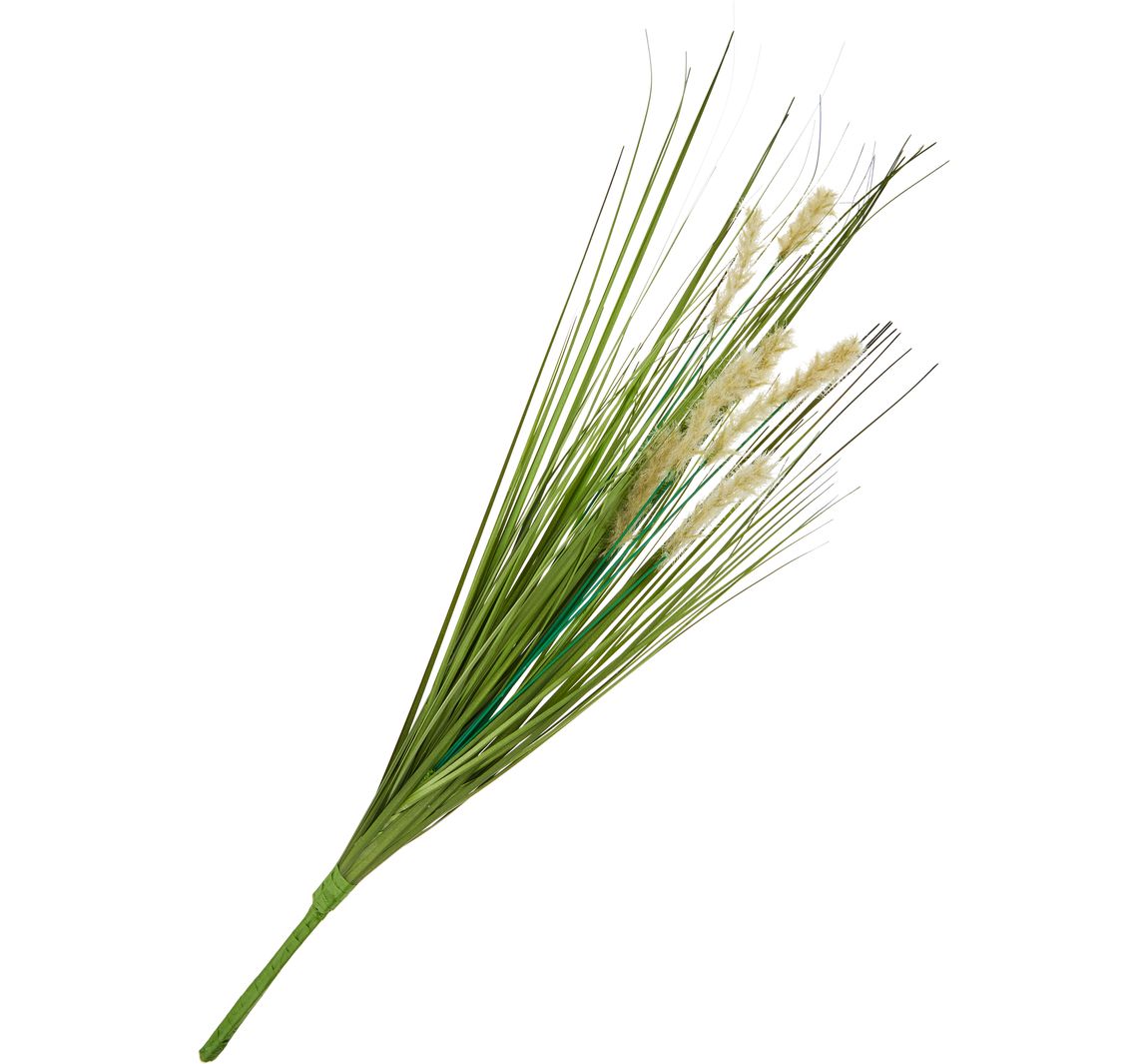 Gras mit Fruchtstand