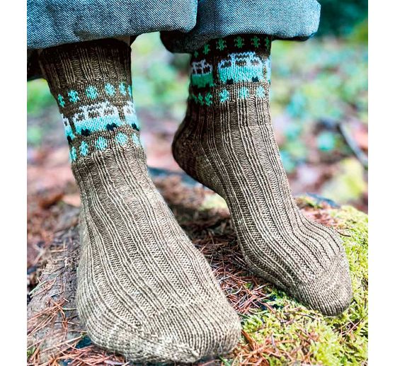 Buch "Geniale Motivsocken stricken"