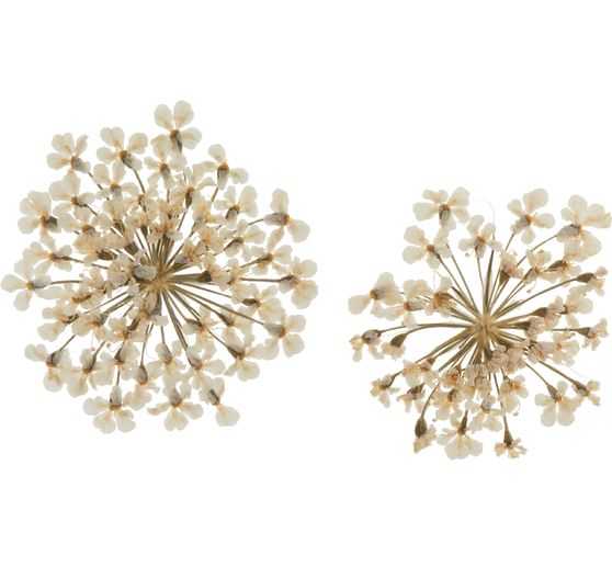 Trockenblumen Sortiment, 9 Tiegel