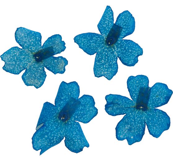 Trockenblumen Sortiment, 9 Tiegel