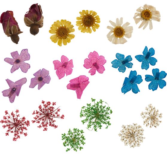 Trockenblumen Sortiment, 9 Tiegel