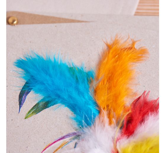 Flauschfedern-Mix "Intensive Farben"