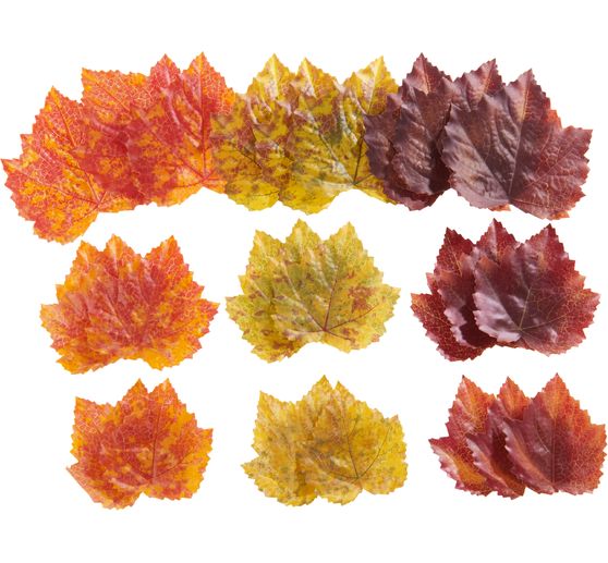Herbst-Laub