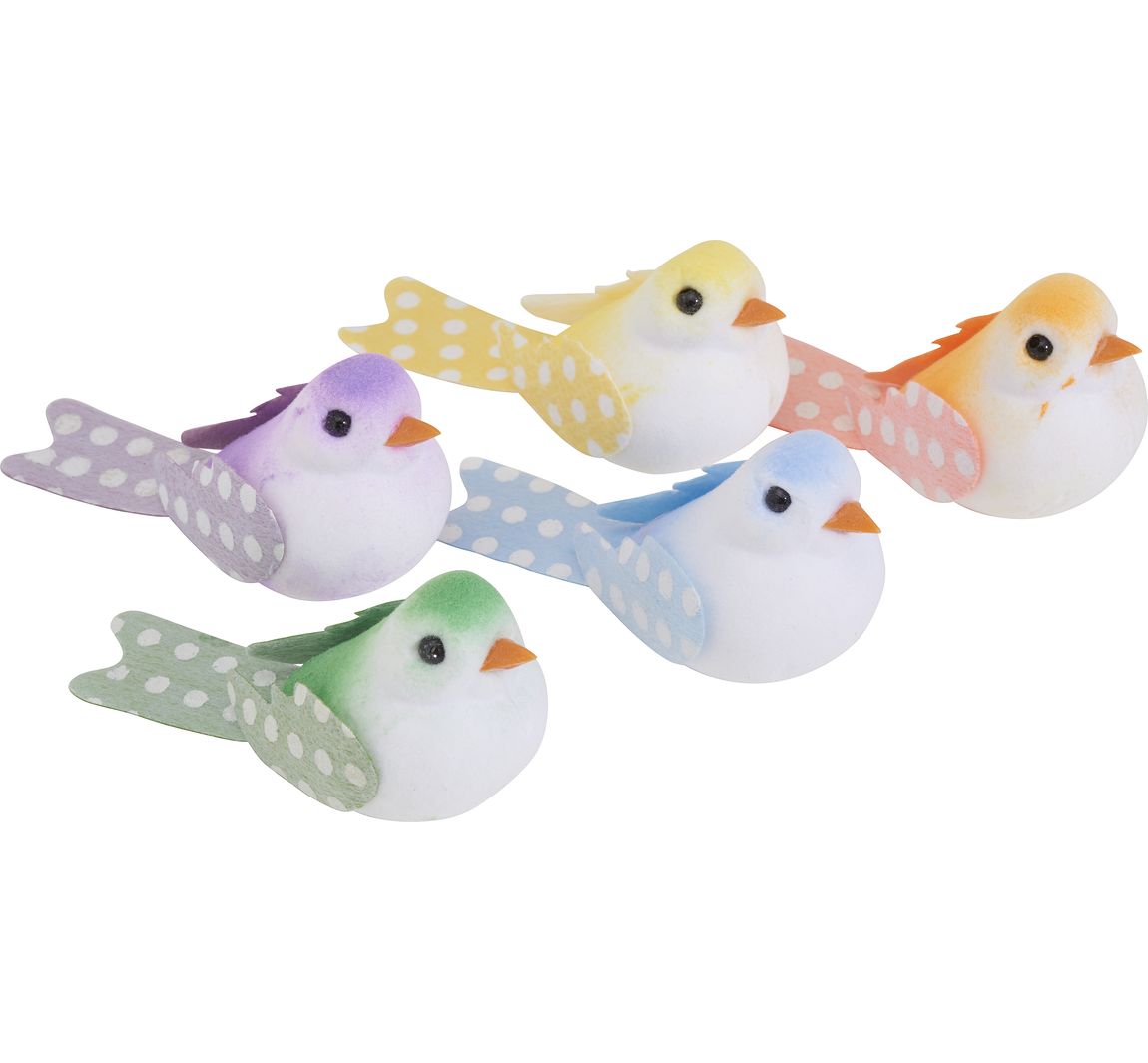VBS Vögel "Klara"