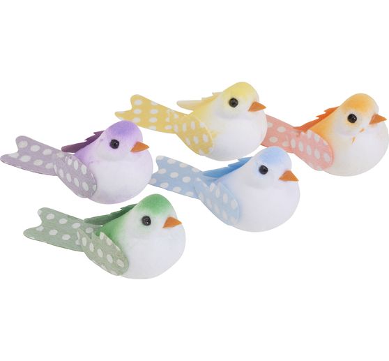 VBS Vögel "Klara"