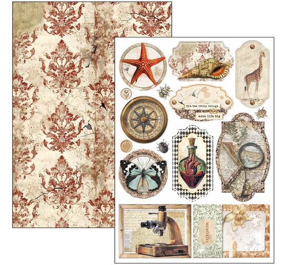 Papier-Set "Cabinet of Curiosities"