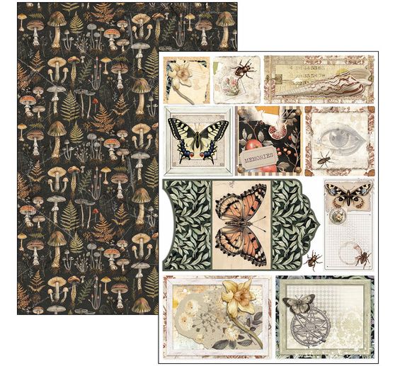 Papier-Set "Cabinet of Curiosities"