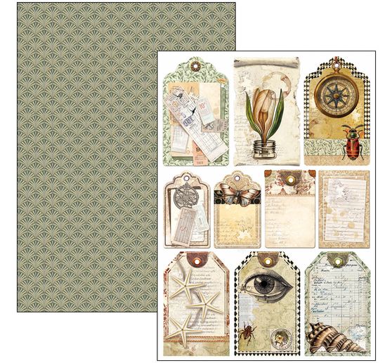 Papier-Set "Cabinet of Curiosities"