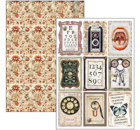 Papier-Set "Cabinet of Curiosities"