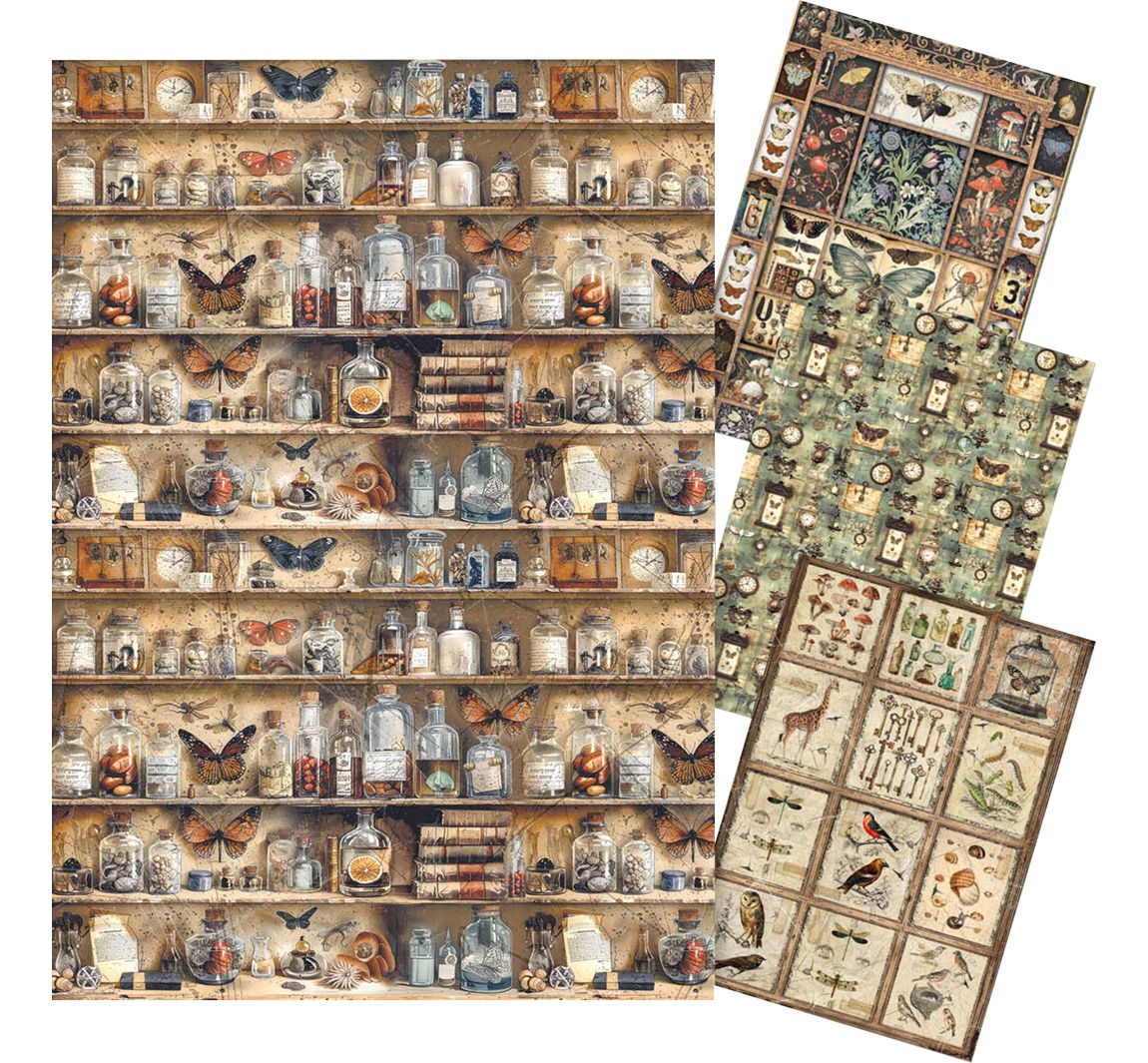 Motiv-Strohseiden-Sortiment "Cabinet of Curiosities", 4er-Set