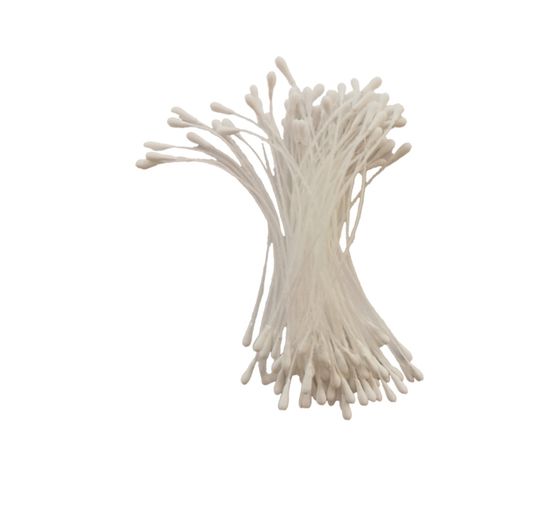 Staubblätter "Stamens"