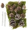 VBS Wald Potpourri-Mix
