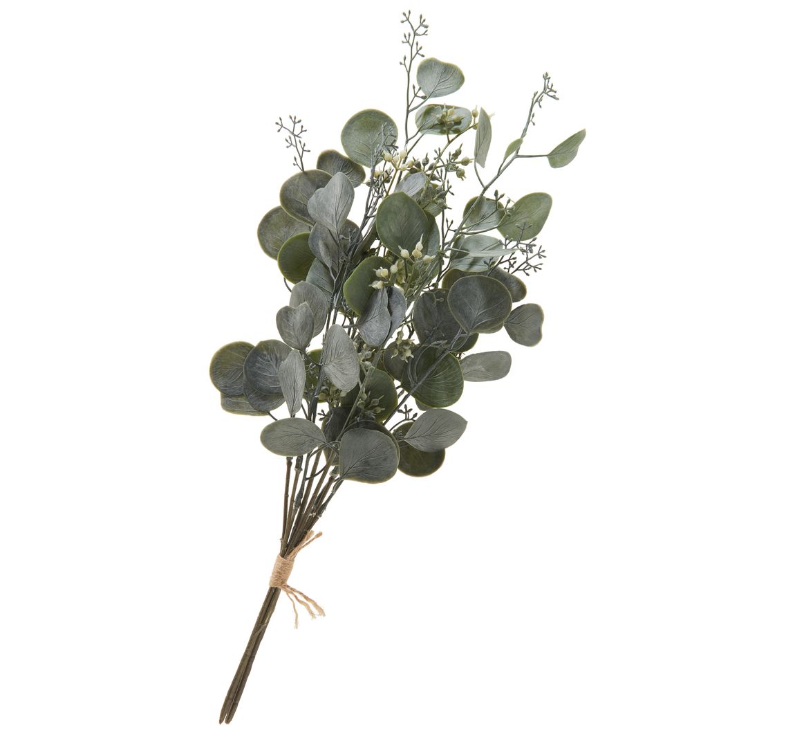 Eukalyptus Bund "Ella"