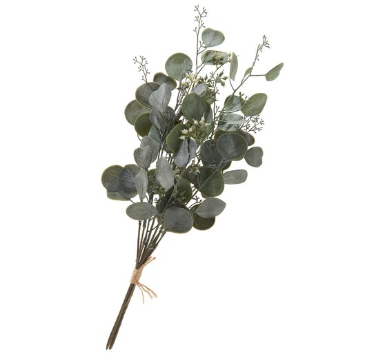 Eucalyptus bunch "Ella"