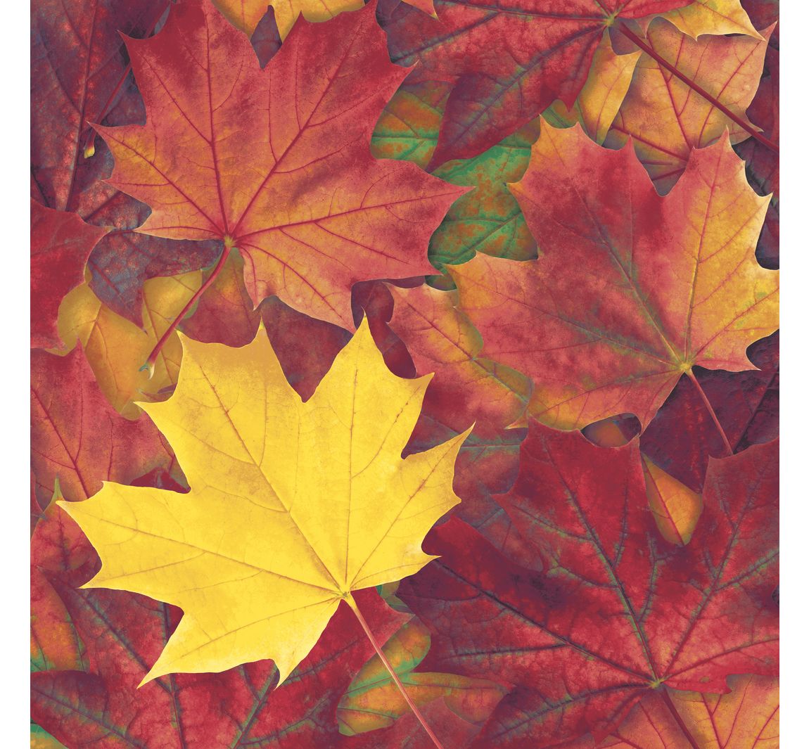 Serviette "Harvest Harmony"