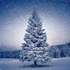 Serviette "Magic Tree"