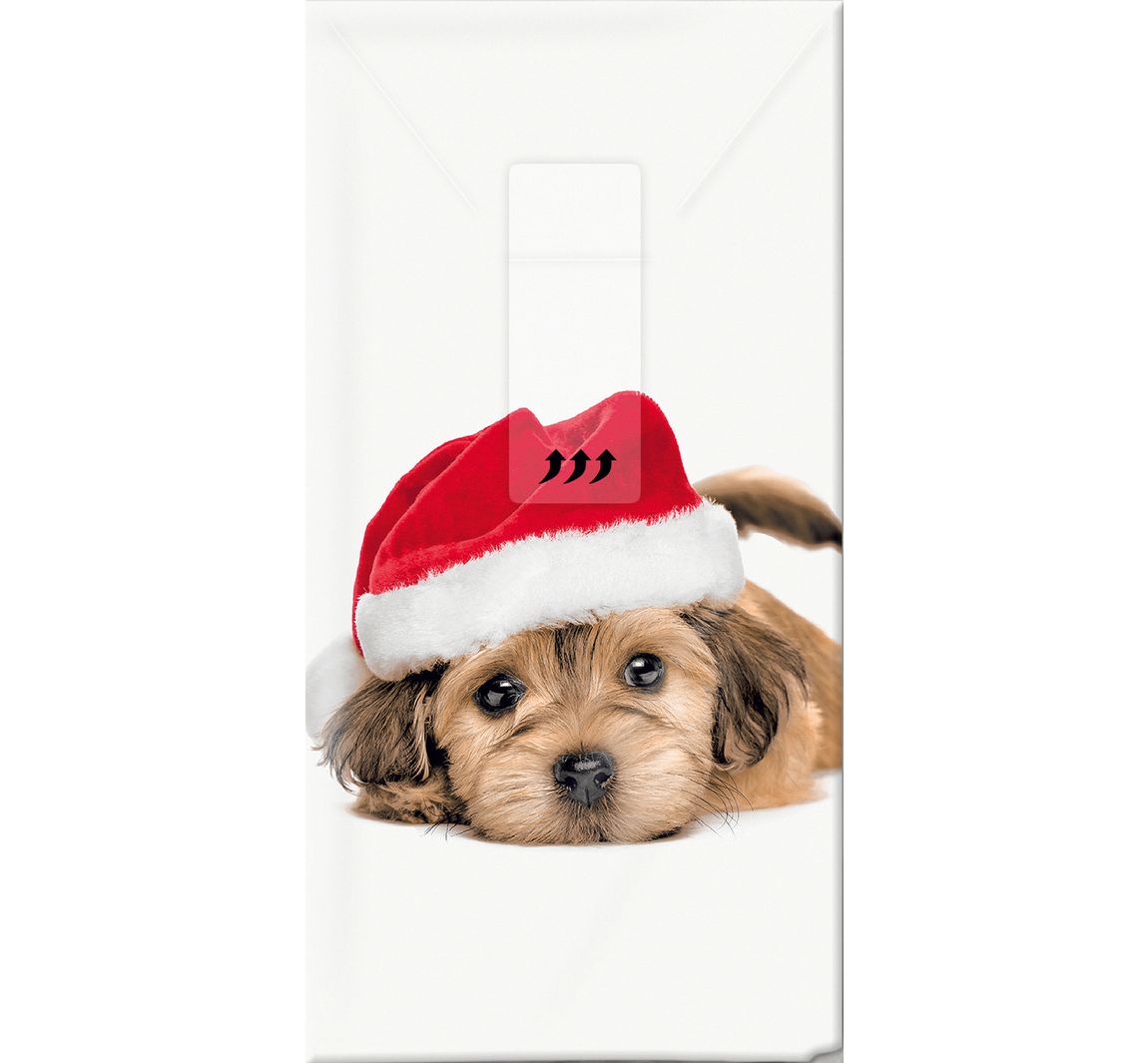 Papiertaschentücher "Sweet Santa Dog"