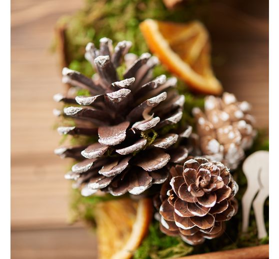 VBS Forest potpourri mix