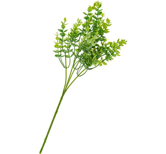 Eukalyptus-Busch, green