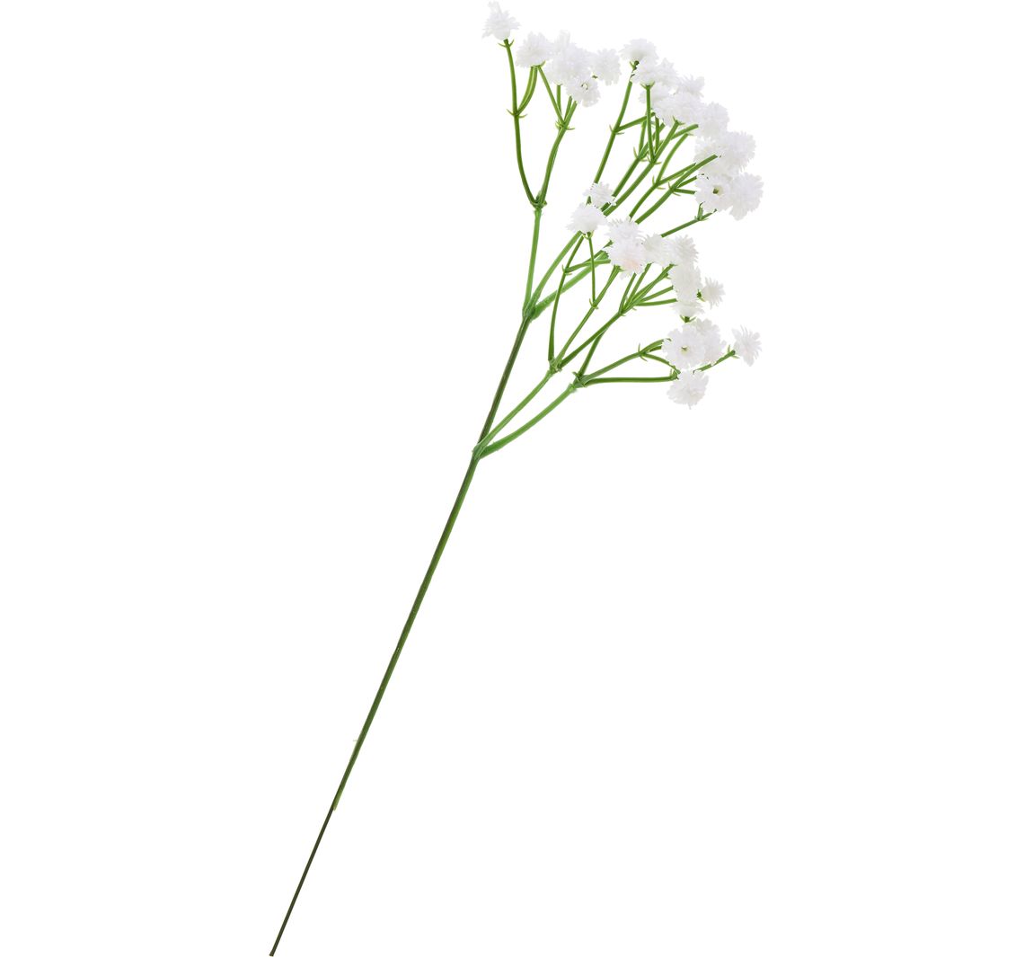 Schleierkraut-Pick "Gypso"