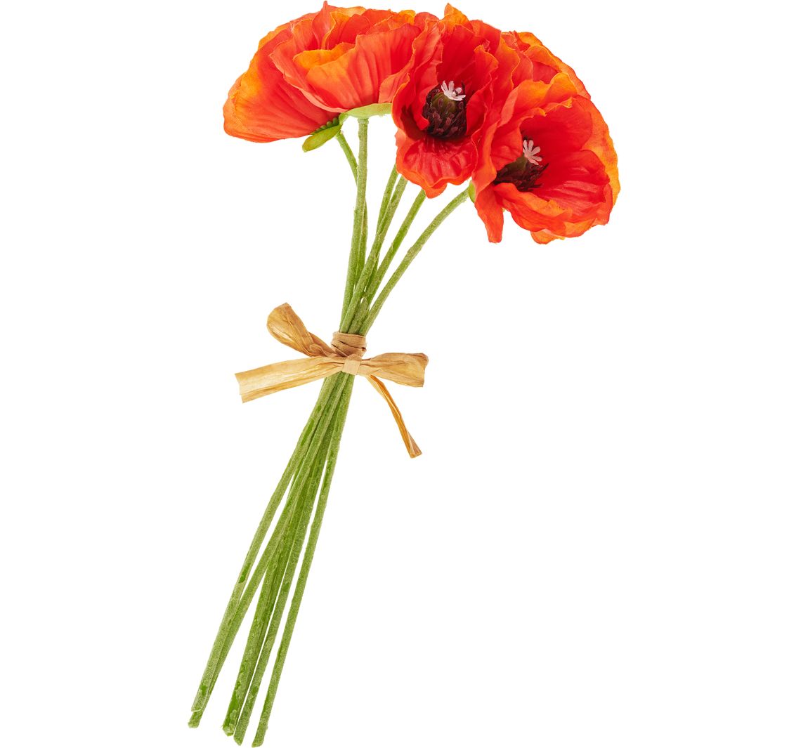 Mohnblumen-Bund, orange