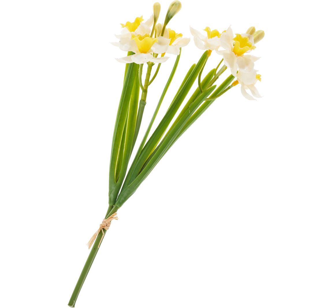 Narzissen-Bund "Yellow / White"