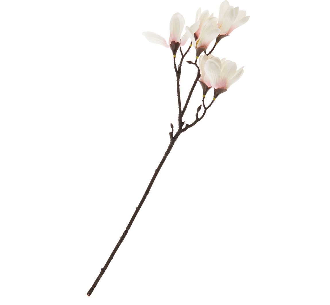 Magnolien-Pick mit 6 Blüten