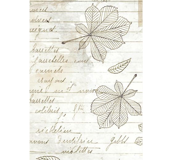 Motif straw silk backgrounds "Herbarium Silvae", set of 8