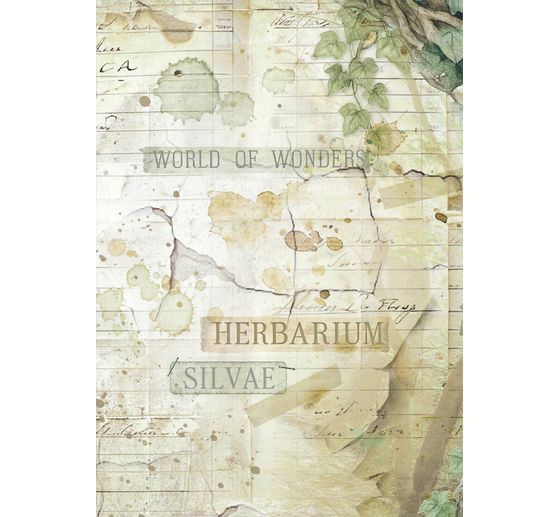 Motif straw silk backgrounds "Herbarium Silvae", set of 8