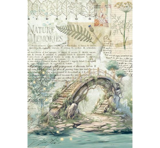 Motiv-Strohseiden Sortiment "Herbarium Silvae", 8er Set