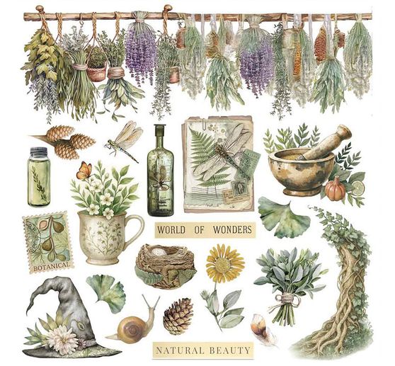 Rub On Sortiment "Herbarium Silvae"
