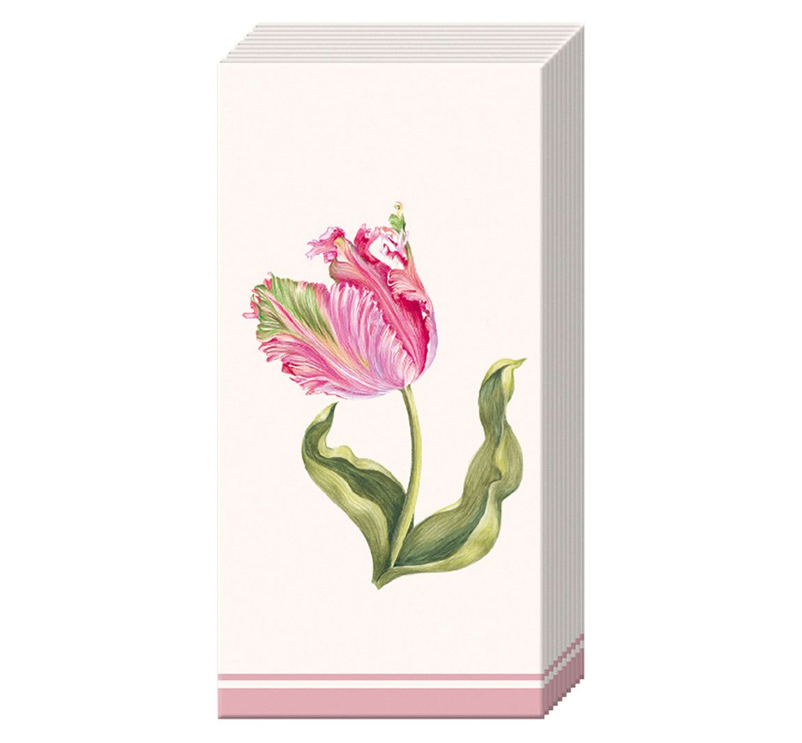 Papiertaschentücher "Driselle"