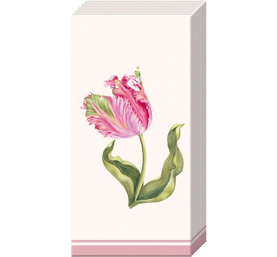 Paper handkerchiefs "Driselle"