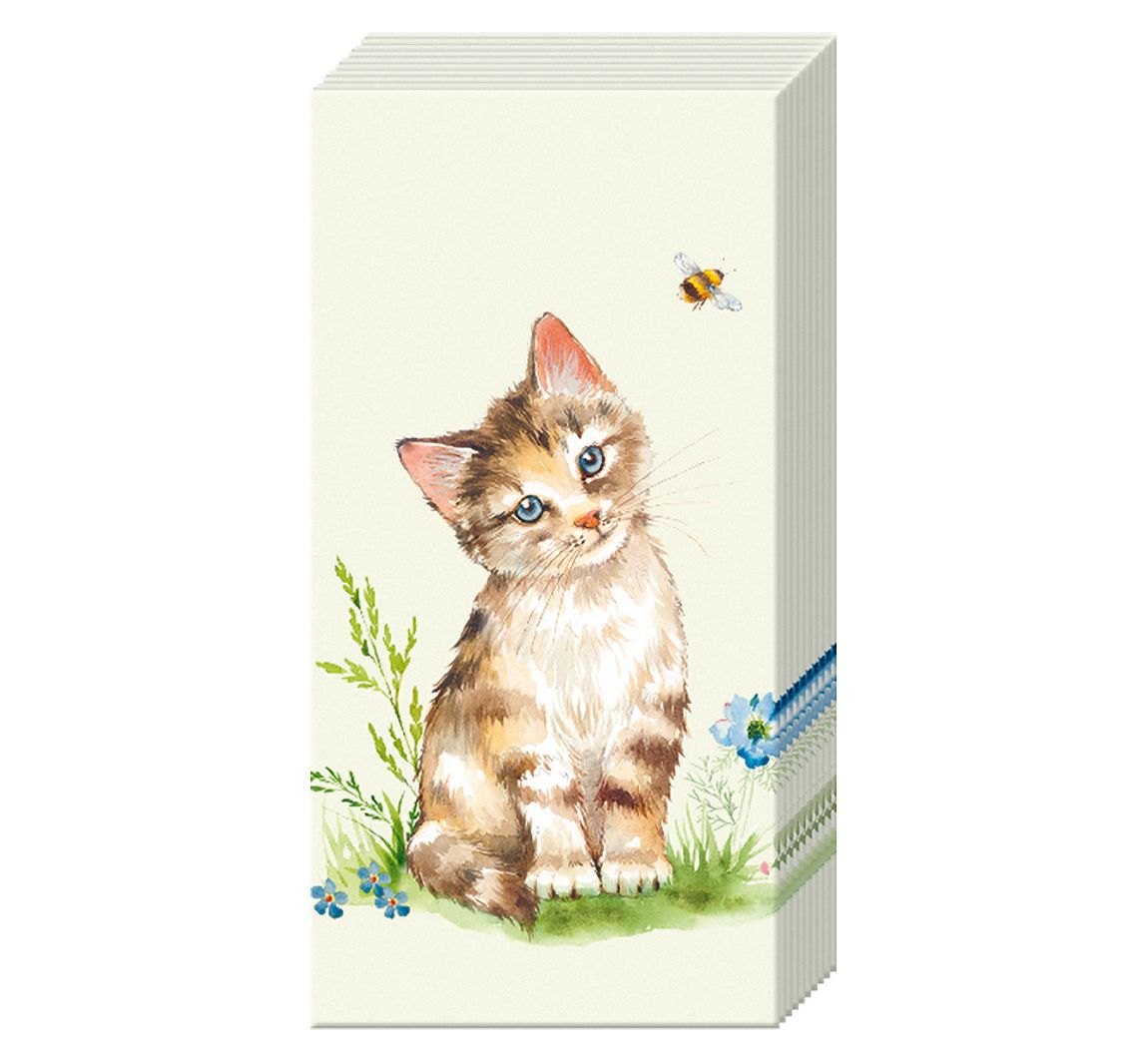 Papiertaschentücher "Cat Kira"
