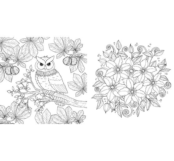 Buch "Waldgefl&uuml;ster"