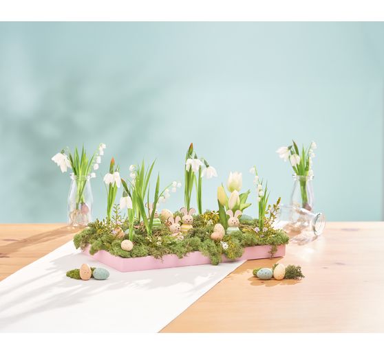 Maigl&ouml;ckchen mit Wurzeln