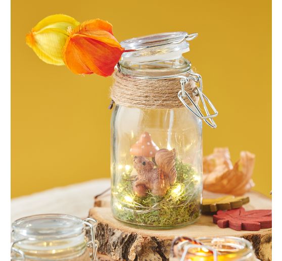 Physalis branch, 6 lantern flowers