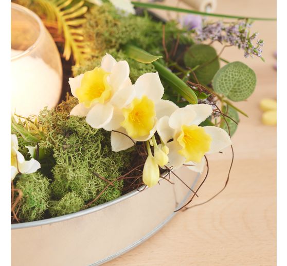 Narzissen-Bund "Yellow / White"