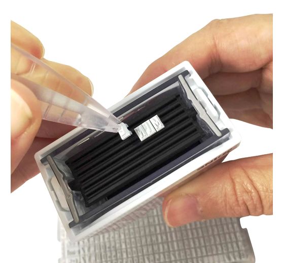 COLOP Craft Labeler Markier-Set