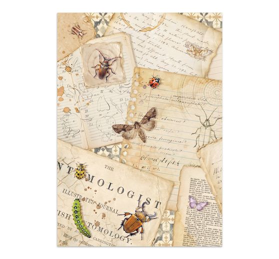 Junk Journal Book "All Around"