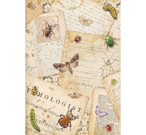 Motif straw silk assortment "All Around", DIN A4, set of 6