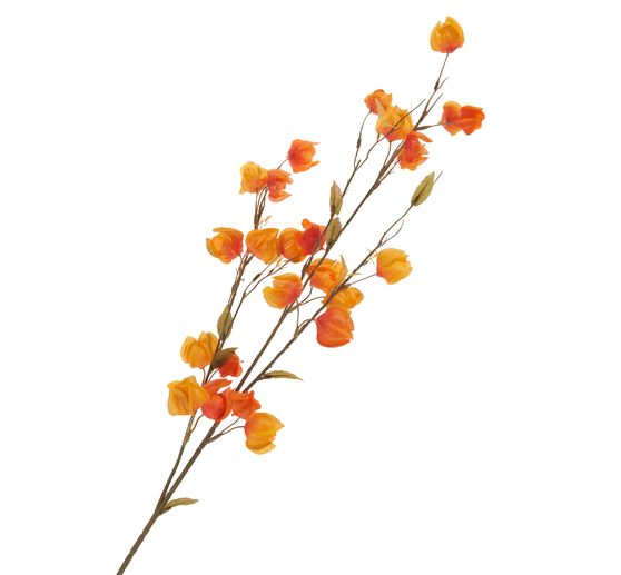Physalis-Zweig "Elina"