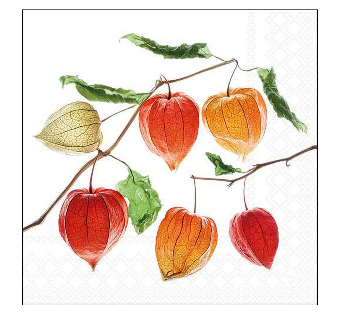 Serviette "Lampionblume"