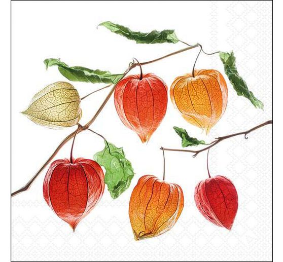 Serviette "Lampionblume"