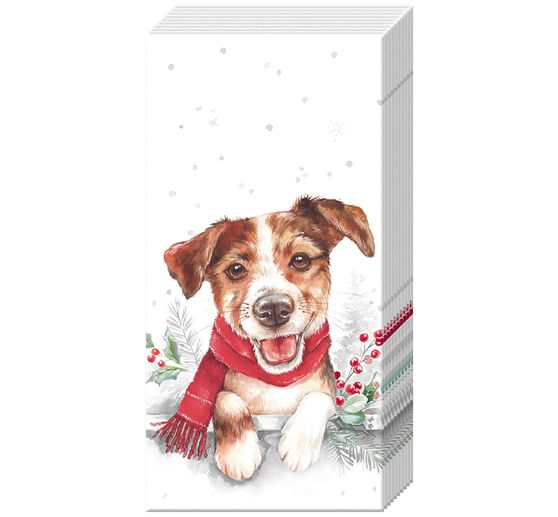 Papiertaschent&uuml;cher "Louie"
