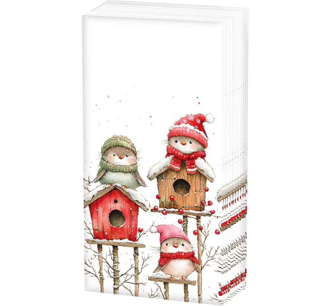 Papiertaschentücher "Vogelquartett"