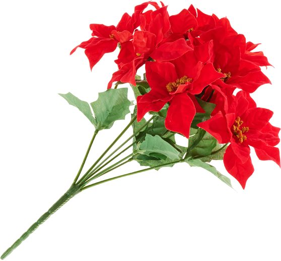 Weihnachtsstern-Pick mit 9 Bl&uuml;ten